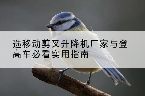和静电动升降机厂家-选移动剪叉升降机厂家与登高车必看实用指南
