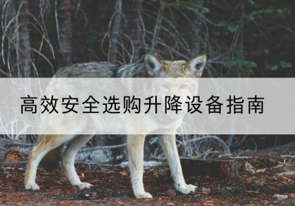 和静升降货梯厂家推荐-*安全选购升降设备指南